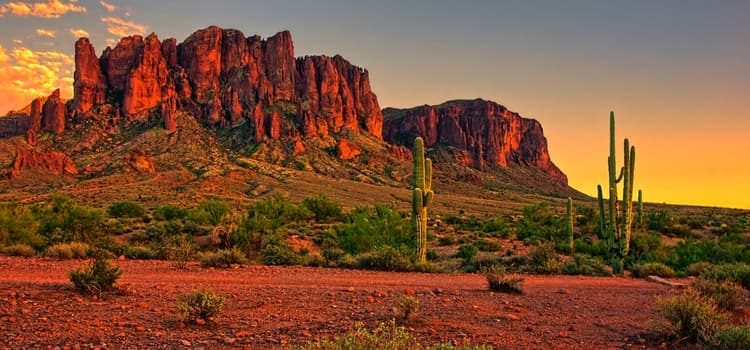 a phoenix landscape near phoenix-mesa airport