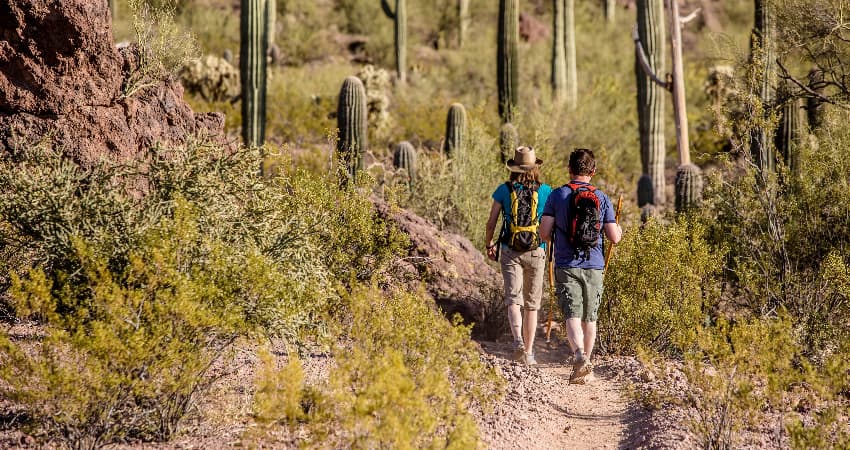 Two hikers walk on a desert path lined with cacti