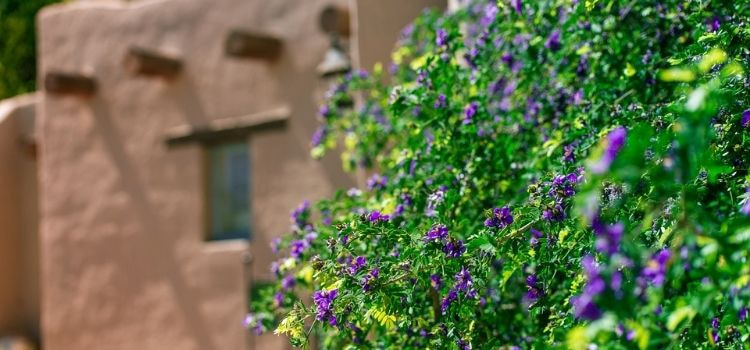 Pueblo building in Arizona