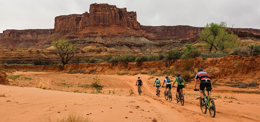 A group of mountain bikers ride toward a butte in a desert