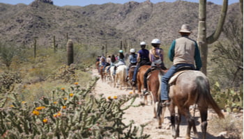 group of people on vacation in arizona taking a horseback tour
