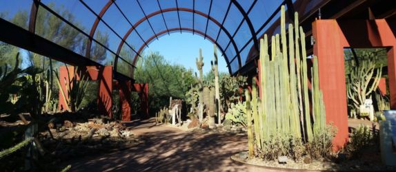 desert botanical garden in phoenix